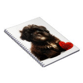Das Niedliche Valentin, die Chocolate Havanese Wel Notizblock (Rechte Seite)