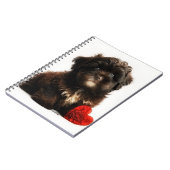 Das Niedliche Valentin, die Chocolate Havanese Wel Notizblock (Linke Seite)
