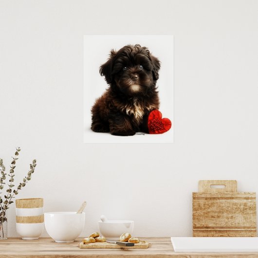 Das Niedliche Valentin, die Chocolate Havanese Wel Poster (Küche)