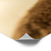 Das Niedlichste Kätzchen aller Zeiten Poster (Ecke)