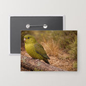 Das Night Parakeet Abzeichen groß Button (Vorderseite/Rückseite)