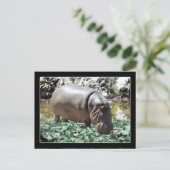 Das Nilpferd & Vogel Postkarte (Stehend Vorderseite)