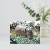 Das Nilpferd & Vogel Postkarte (Stehend Vorderseite)