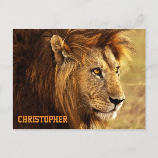 Das Nobelionenfoto Postkarte (Vorderseite)