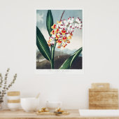 Das Nodding Renealmia vom Tempel der Flora Kunst Poster (Küche)