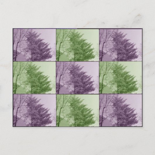 das nördlichste von neun postkarte (Vorderseite)