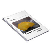 Das Notizbuch des Feldnaturwissenschaftlers durch Notizblock (Rechte Seite)