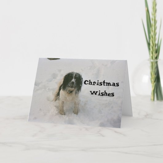 Das Nowzad verfolgt Weihnachtskarte (1) Feiertagskarte (Vorderseite)