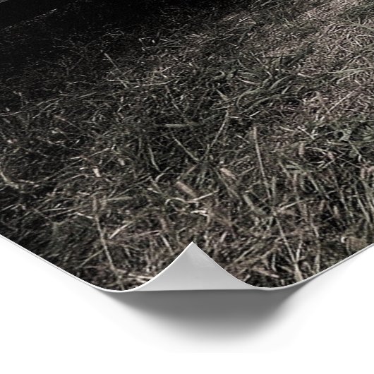 Das ODSS Team Poster (Ecke)