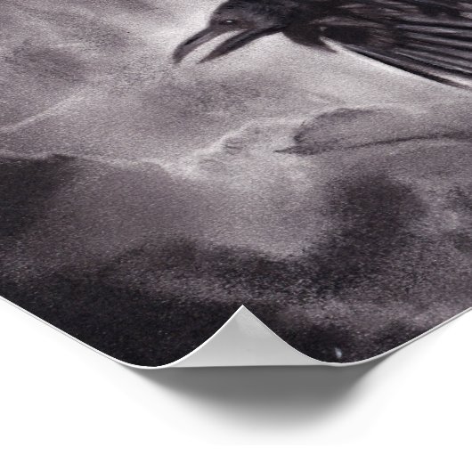 Das Omen Raven Poster (Ecke)