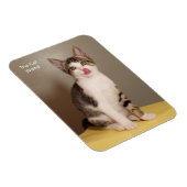 Das Open Humors Tabby Cat Magnet (Rechte Seite)