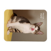 Das Open Humors Tabby Cat Magnet (Horizontal)