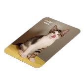 Das Open Humors Tabby Cat Magnet (Linke Seite)