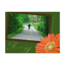 Das orange u. grüne Gerbera-Gänseblümchen danken