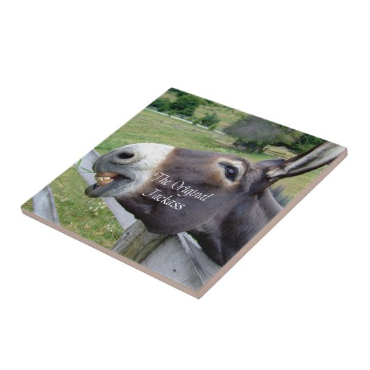 Das Original Jackass Funny Donkey Mule Farm Animal Fliese (Seite)