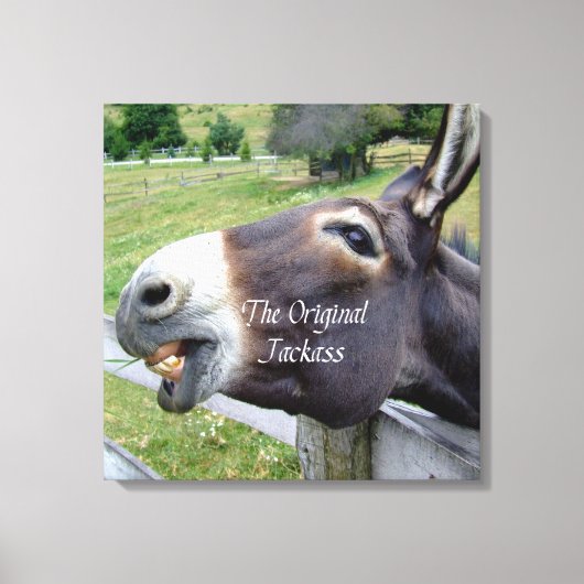 Das Original Jackass Funny Donkey Mule Farm Animal Leinwanddruck (Vorderseite)