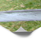 Das Original Jackass Funny Donkey Mule Farm Animal Poster (Ecke)