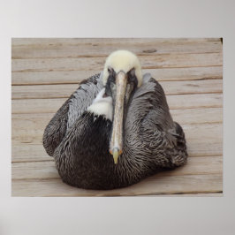 Das Ornery Pelican Poster