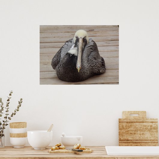 Das Ornery Pelican Poster (Küche)