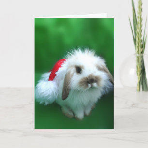Das Ostern, Umm, Weihnachtshäschen Feiertagskarte