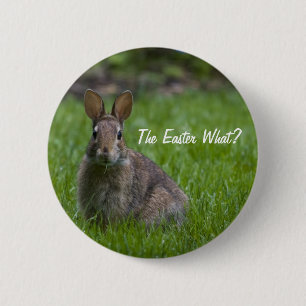 Das Ostern was? Knopf Button
