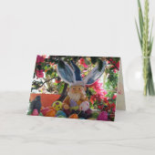 Das Osterreich Feiertagskarte (Vorderseite)