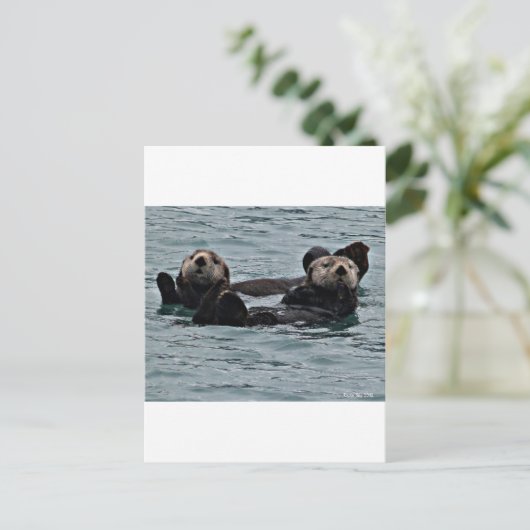 Das Otter-Paar Postkarte (Stehend Vorderseite)