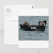 Das Otter-Paar Postkarte (Vorne/Hinten)