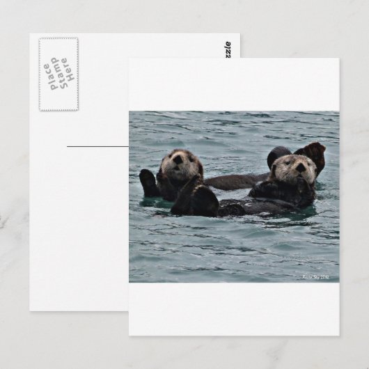 Das Otter-Paar Postkarte (Vorne/Hinten)