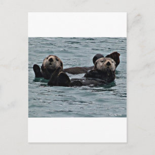 Das Otter-Paar Postkarte