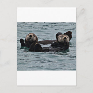 Das Otter-Paar Postkarte
