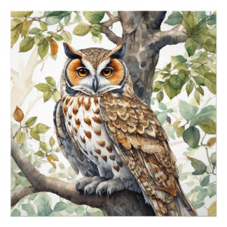 Das Owl, Wildlife Illustrative Poster