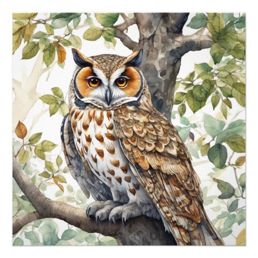 Das Owl, Wildlife Illustrative Poster (Vorne)