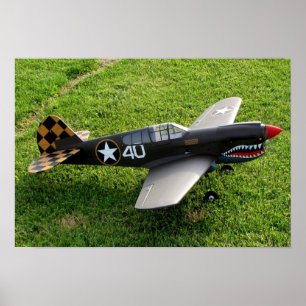 Das P-40 Warbird Plakat