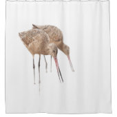 Das Paar von Marbled Godwit Duschvorhang (Vorderseite)