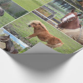 Das Packpapier des Pferdeliebhabers (Ecke)