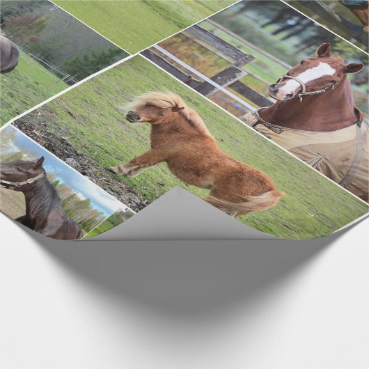 Das Packpapier des Pferdeliebhabers (Ecke)