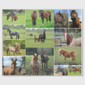 Das Packpapier des Pferdeliebhabers (Flach)