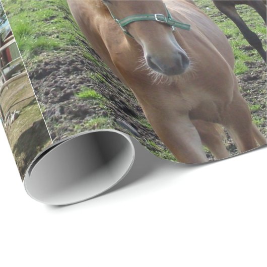 Das Packpapier des Pferdeliebhabers (Rolleneckpunkt)