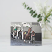 Das Paddock im Belmont Park Postkarte (Stehend Vorderseite)