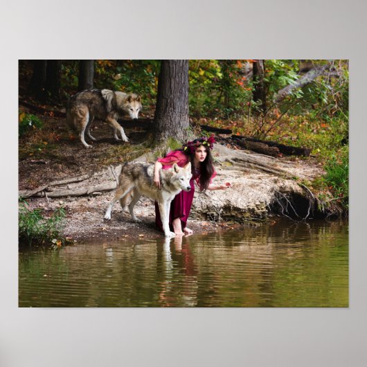 Das Paket Poster (Vorne)