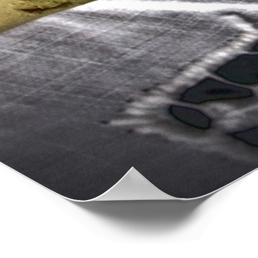 Das Palm Readers Poster (Ecke)