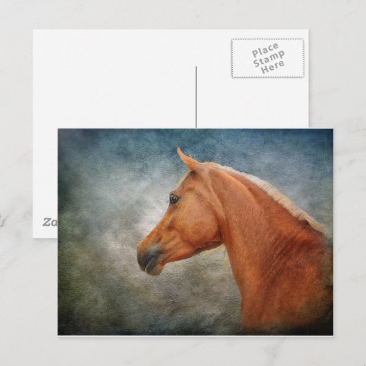 Das Palomino Postkarte (Vorne/Hinten)