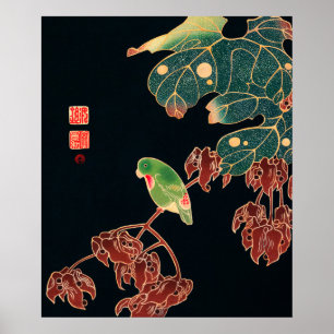 Das Paroquet von Ito Jakuchu (ca. 1900) Poster