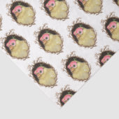 Das Peep-Papier Seidenpapier (Ausschnitt)