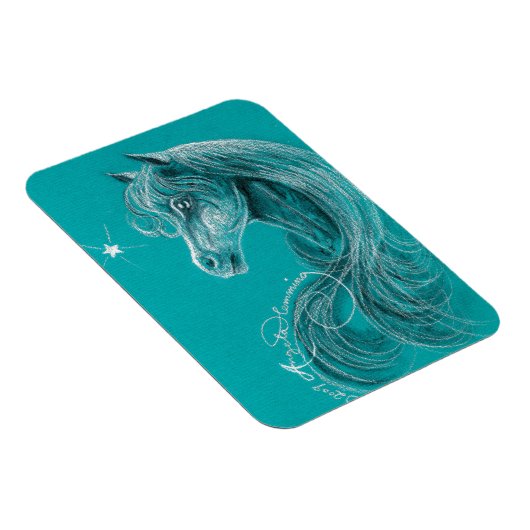 Das pensive arabische Pferd Magnet (Rechte Seite)