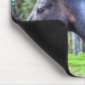 Das Percheron Pferd Foto läuft auf schwarzem Thoro Mousepad (Ecke)