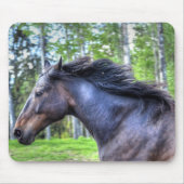 Das Percheron Pferd Foto läuft auf schwarzem Thoro Mousepad (Vorne)