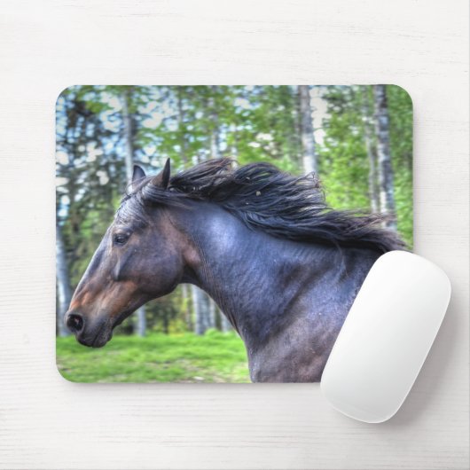 Das Percheron Pferd Foto läuft auf schwarzem Thoro Mousepad (Mit Mouse)