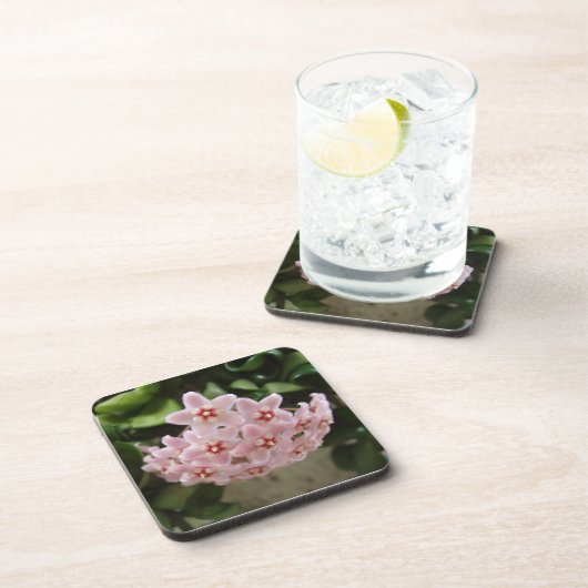 Das perfekte afrikanische Violet Bloom Untersetzer (Rechte Seite)